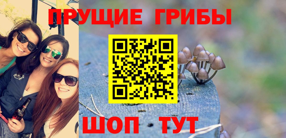 Псилоцибиновые грибы мицелий Белорецк